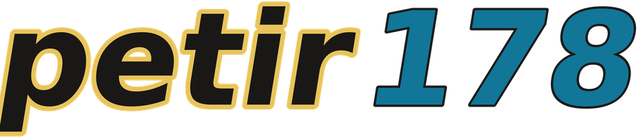 petir178 logo